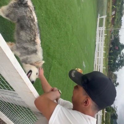 QuNguynAnh4's profile picture. 