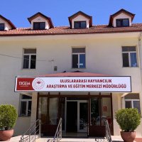 lalahanuhaem (@lalahanuhaemm) Twitter profile photo