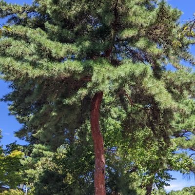 clveq88321's profile picture. 