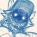 🌘 Night ⚔️ Preator 🌒 GONE (@aetherotter) Twitter profile photo 🌘 Night ⚔️ Preator 🌒 GONE (@aetherotter) Twitter profile photo