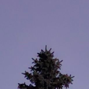 ziggy310440's profile picture. 