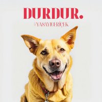 yasayı geri çek (@busty450) Twitter profile photo