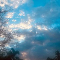 ilusyunadaKA 🍀🍀 (@mariellepaclib2) 's Twitter Profile