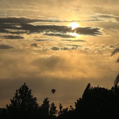 coffeealways1's profile picture. Happily 🪢 ☕️🐾🪴🌎⛰🦅🙏🚴‍♂️🏌️‍♀️🏊🌊🏎 beware I swear