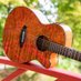 TANGLEWOOD GUITARS (@tanglewooduk) Twitter profile photo TANGLEWOOD GUITARS (@tanglewooduk) Twitter profile photo