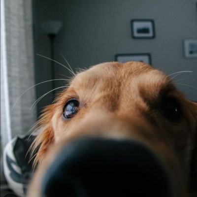 Buckoilcrouse's profile picture. Husband | Father | Brother | Son | Sports Enthusiast