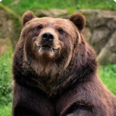 retivykh1's profile picture. Life  in all its diversity.
No DMS, PLZ