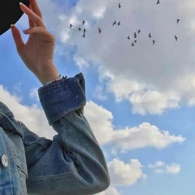 nouraalra142's profile picture. طالبة قانون ⚖️ في @_PNU_KSA | عضو في @pnu_dsa |
محامية المستقبل ✨