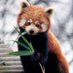 R S (@g0rpg0mp) Twitter profile photo R S (@g0rpg0mp) Twitter profile photo