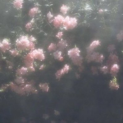 さらさんのプロフィール画像