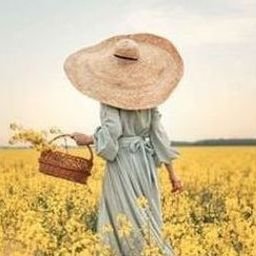 Soshorsergka's profile picture. 