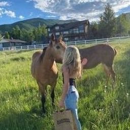 TitarOR_XGw's profile picture. 