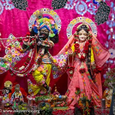 HariomS67515412's profile picture. 