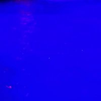 screwbarux (@screwbarux) 's Twitter Profile