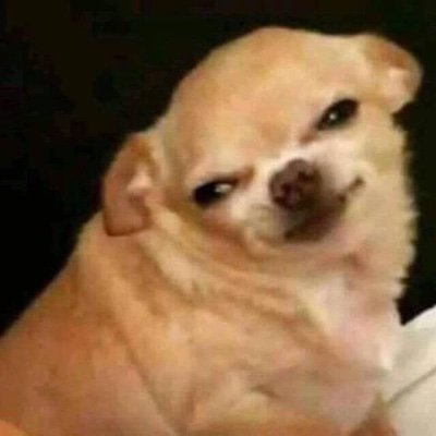 alkz___3's profile picture. ꒰ ⁺🎀⋆ °🐶˖✧ ʏɪɴᴡᴀʀ ²⁰²¹ ᴛxᴛ ²⁰²⁵ ✨