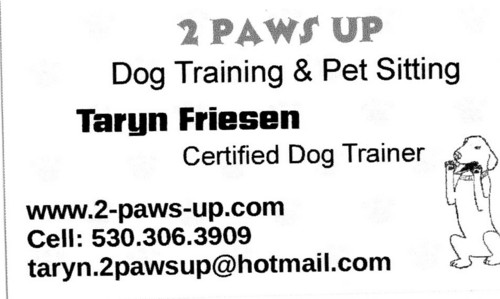 I am a positive-based certified dog trainer offering private training sessions. I also offer pet sitting services in the comfort of your home!