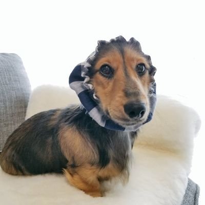 sayano916957996's profile picture. 