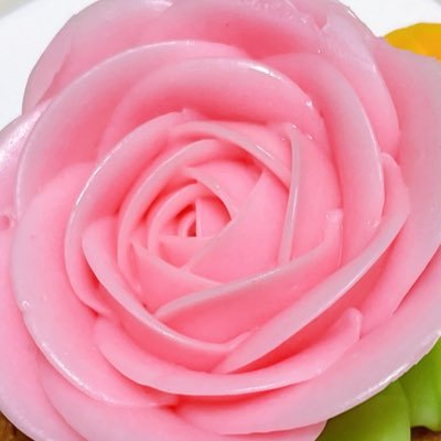 🌈🕒初心者 かわいい子とおもろい人と生徒会さんが好き 歌感想は多め 最近はヒーローさん達も見学中