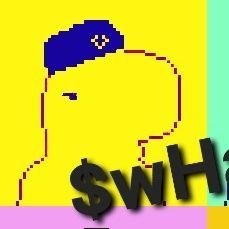 whallekoe's profile picture. pursuers and hopes of web 3 crypto