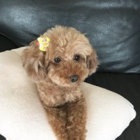 ラブまま (@lovemama0303) Twitter profile photo