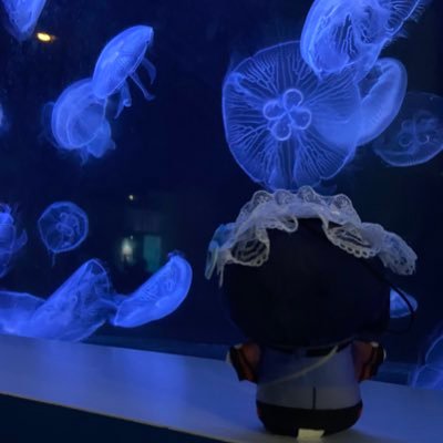 蒼さんのプロフィール画像