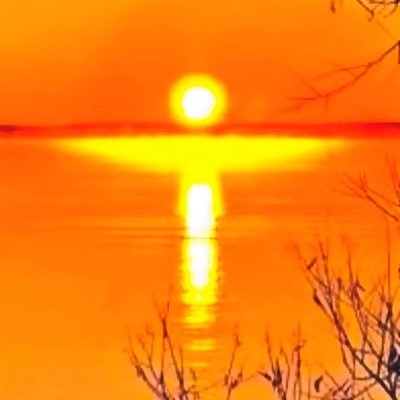 yogalady100's profile picture. 