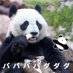 パンダも (@pa4da3n5mo) Twitter profile photo パンダも (@pa4da3n5mo) Twitter profile photo