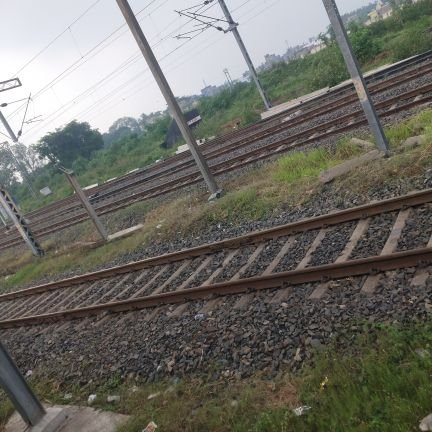 RituRaj02295756's profile picture. India India 🇮🇳