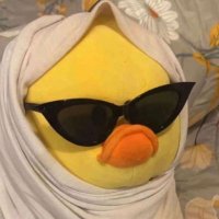 bssst (@x1z0vc) 's Twitter Profile