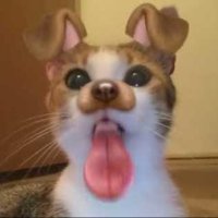 zuno (@solzuno) 's Twitter Profile