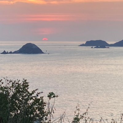 VE_JDE20_DF's profile picture. 