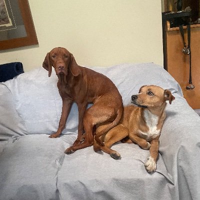 TheVailien's profile picture. 