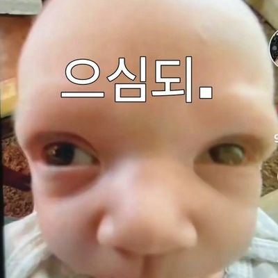 깽さんのプロフィール画像