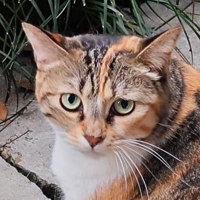 nanasakima1yo's profile picture. so~