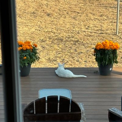 SandyEHMB's profile picture. Mother, Grandmother , Texan, Veteran, LEO Wife. AMERICAN.