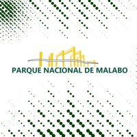Parque Nacional De Malabo (@parquemalabo) 's Twitter Profile