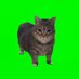 Spinning Cat - $OIIAOIIA (@oiiaoiia_coin_) Twitter profile photo Spinning Cat - $OIIAOIIA (@oiiaoiia_coin_) Twitter profile photo