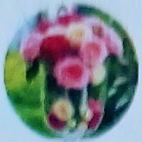 حصه الحربي (@alhrby34687) 's Twitter Profile Photo
