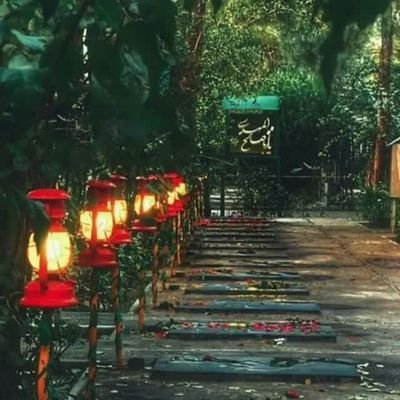 mrheydari94's profile picture. 