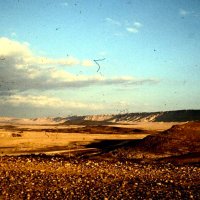 Ploughing Sand (@ploughingsand) 's Twitter Profile