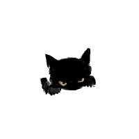 UIb (@_chubuna_) 's Twitter Profile