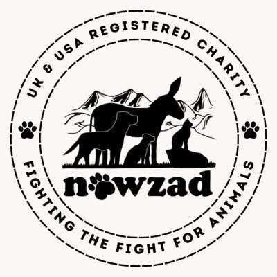 NOWZAD Profile