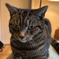 Andy Balmer (@andybalmer) 's Twitter Profile Photo Andy Balmer (@andybalmer) 's Twitter Profile Photo