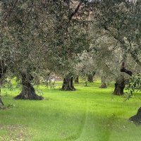 🇱🇧🇱🇧🇱🇧🇱🇧🇱🇧🇱🇧 (@lebneneyh961) 's Twitter Profile Photo 🇱🇧🇱🇧🇱🇧🇱🇧🇱🇧🇱🇧 (@lebneneyh961) 's Twitter Profile Photo