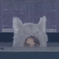 ara (@xiaothejun_) 's Twitter Profile