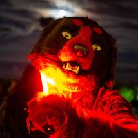 Kedgu (@shirokedgu) 's Twitter Profile Photo