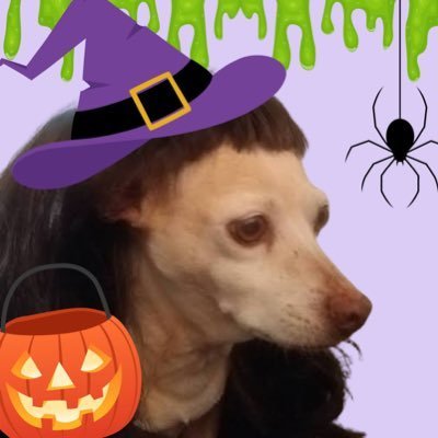 _LaMaldonado's profile picture. Abogada
Linares & Asociados
Earthbender-ATLA

💚💜🦉