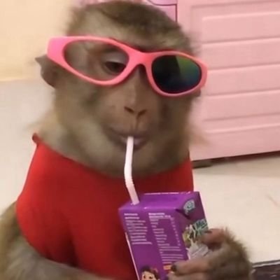 kicek109's profile picture. 