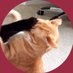 Zeestol (@thwilnvicfcnnbl) Twitter profile photo Zeestol (@thwilnvicfcnnbl) Twitter profile photo