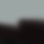 07 (@sobakonattou07) 's Twitter Profile